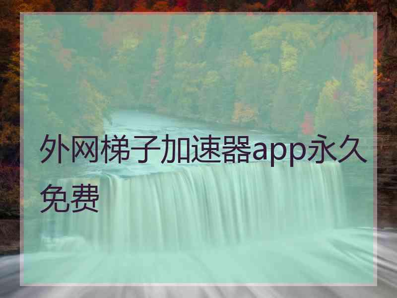 外网梯子加速器app永久免费