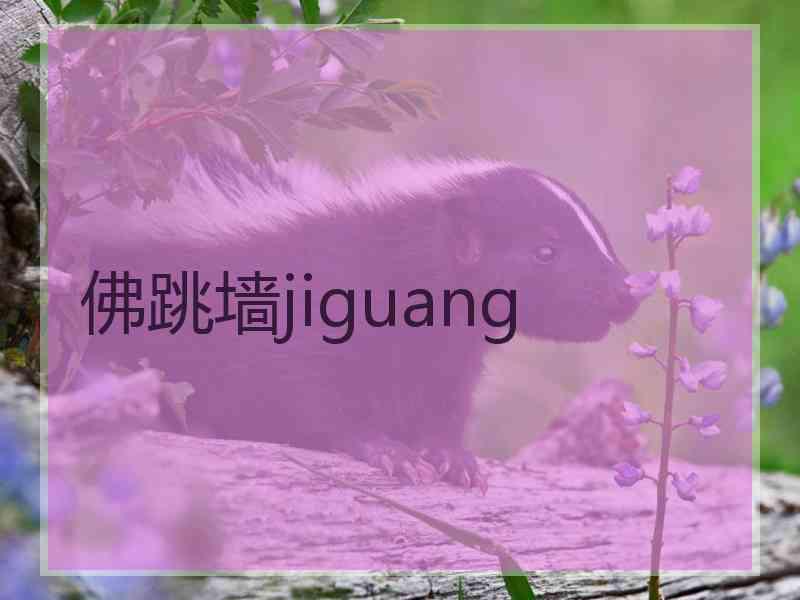 佛跳墙jiguang