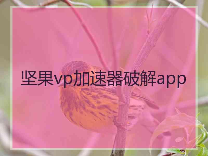 坚果vp加速器破解app