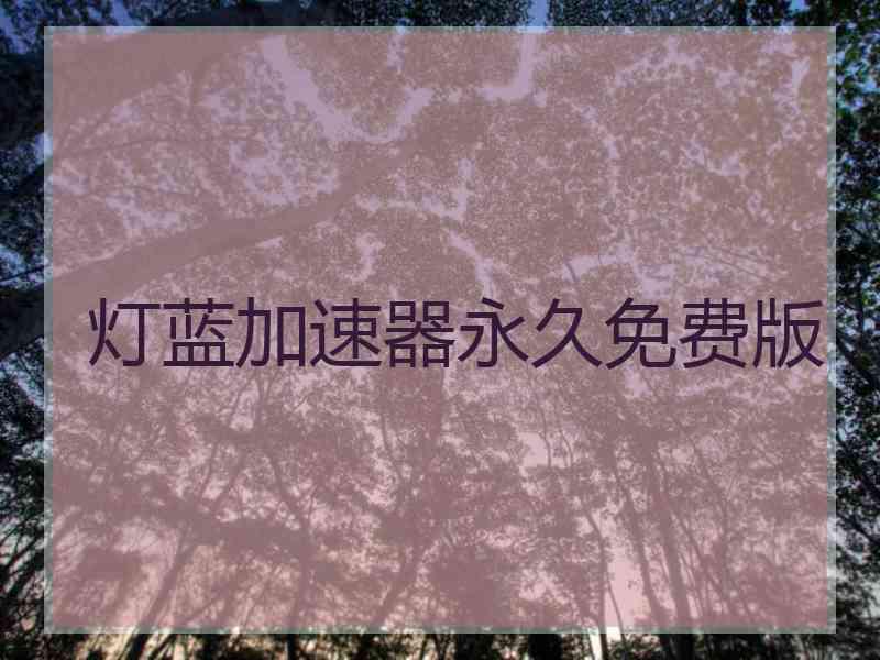 灯蓝加速器永久免费版