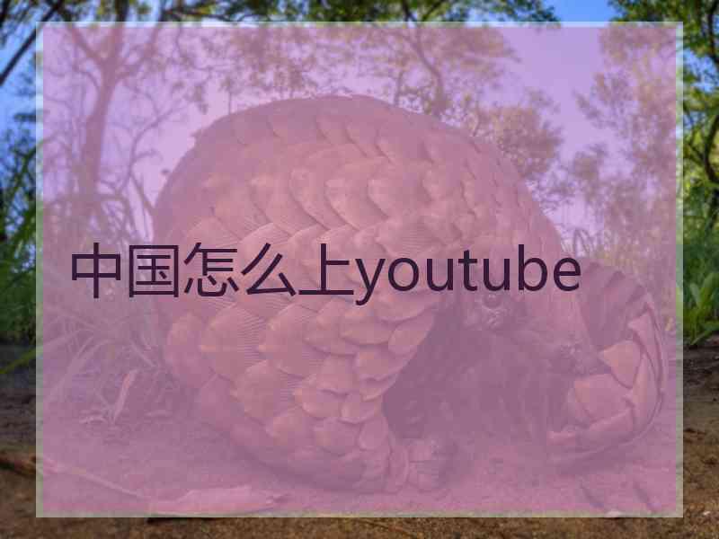 中国怎么上youtube