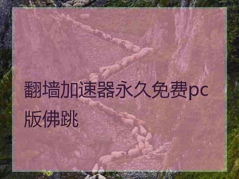 翻墙加速器永久免费pc版佛跳