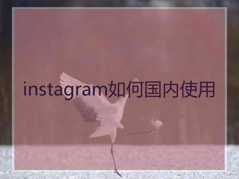 instagram如何国内使用