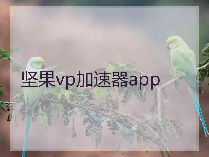 坚果vp加速器app