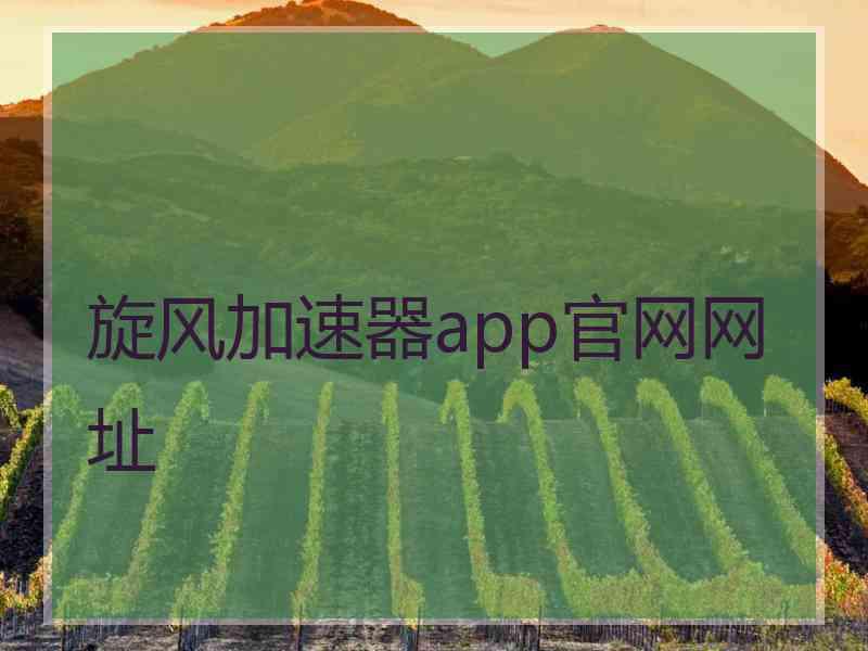 旋风加速器app官网网址