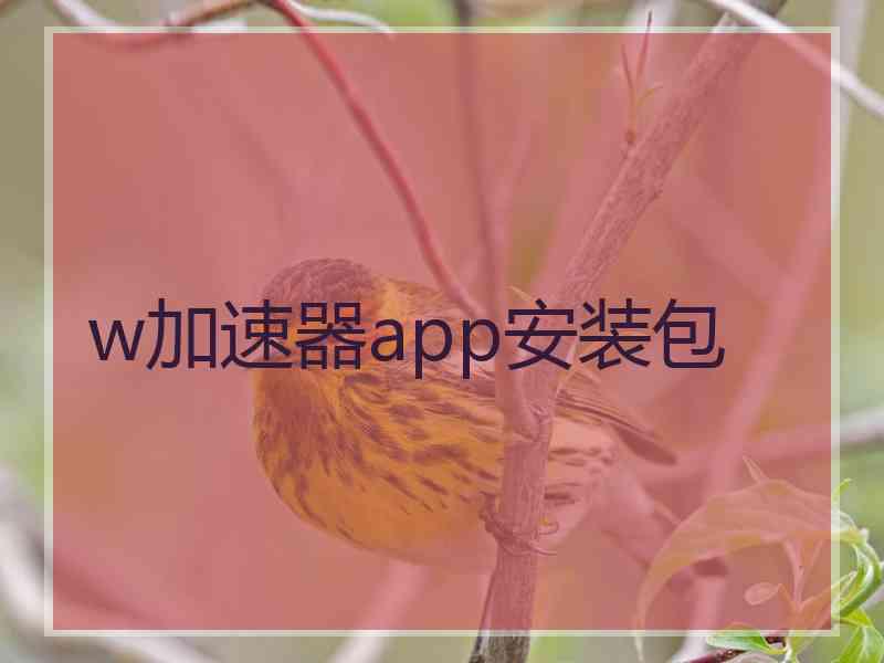 w加速器app安装包