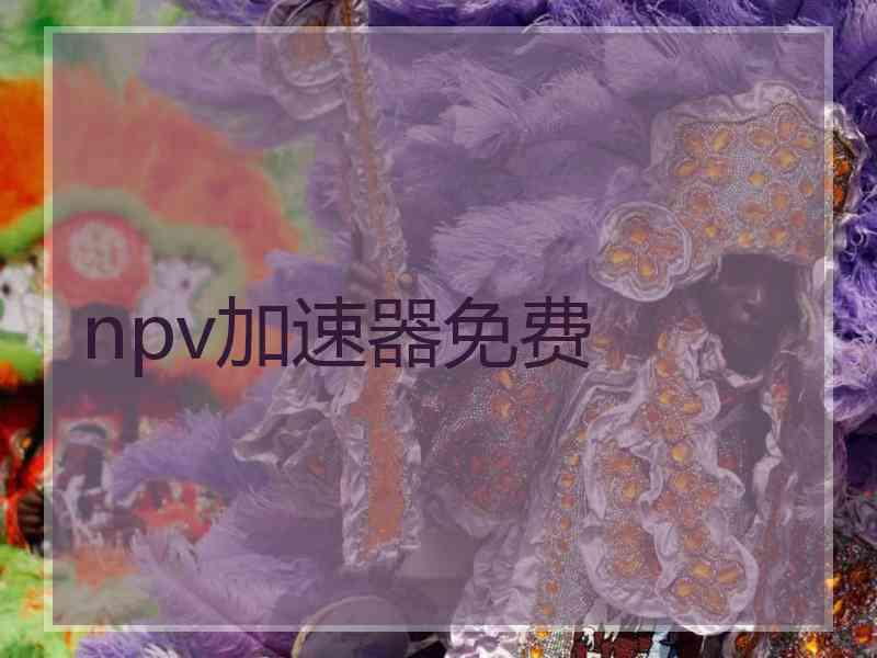 npv加速器免费