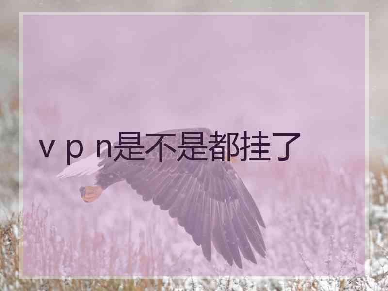 v p n是不是都挂了