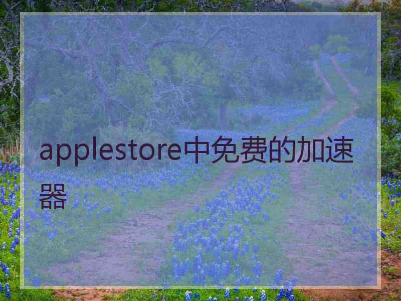 applestore中免费的加速器