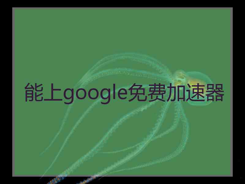 能上google免费加速器