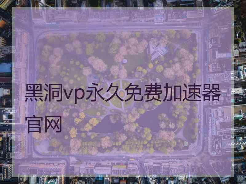 黑洞vp永久免费加速器官网