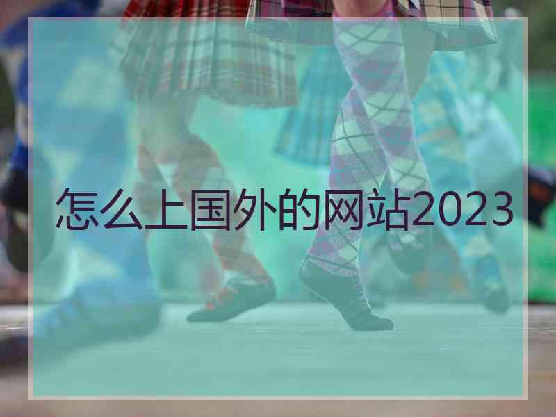 怎么上国外的网站2023