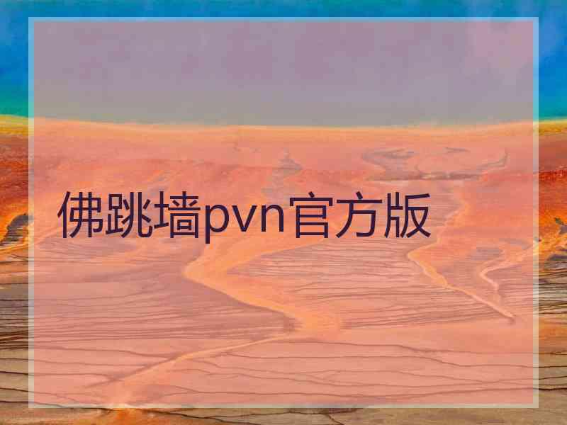 佛跳墙pvn官方版