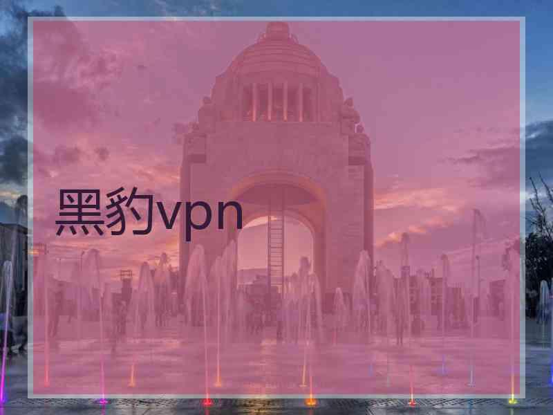 黑豹vpn