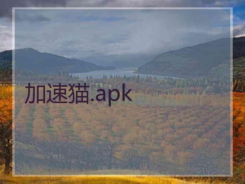 加速猫.apk