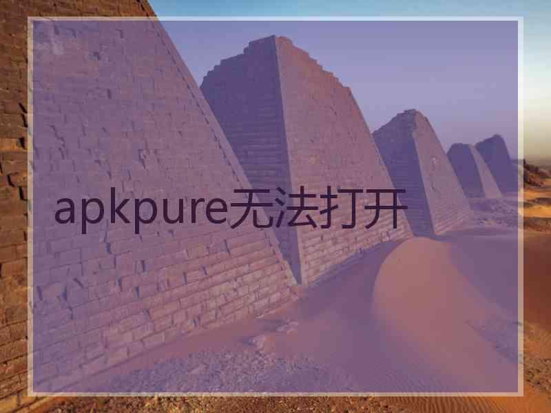 apkpure无法打开