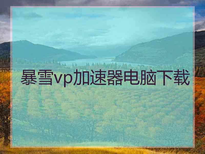 暴雪vp加速器电脑下载