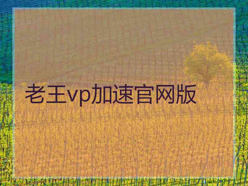 老王vp加速官网版