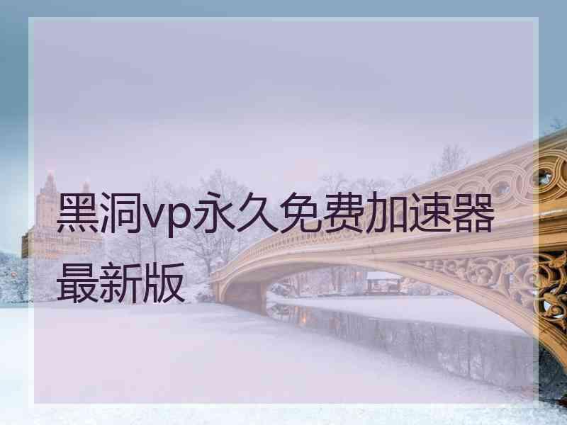 黑洞vp永久免费加速器最新版