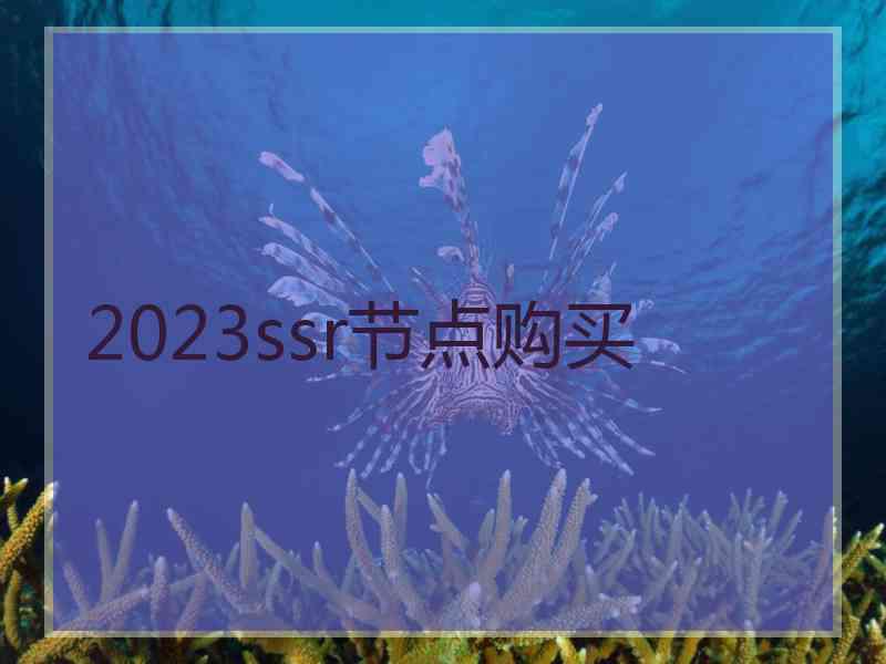 2023ssr节点购买