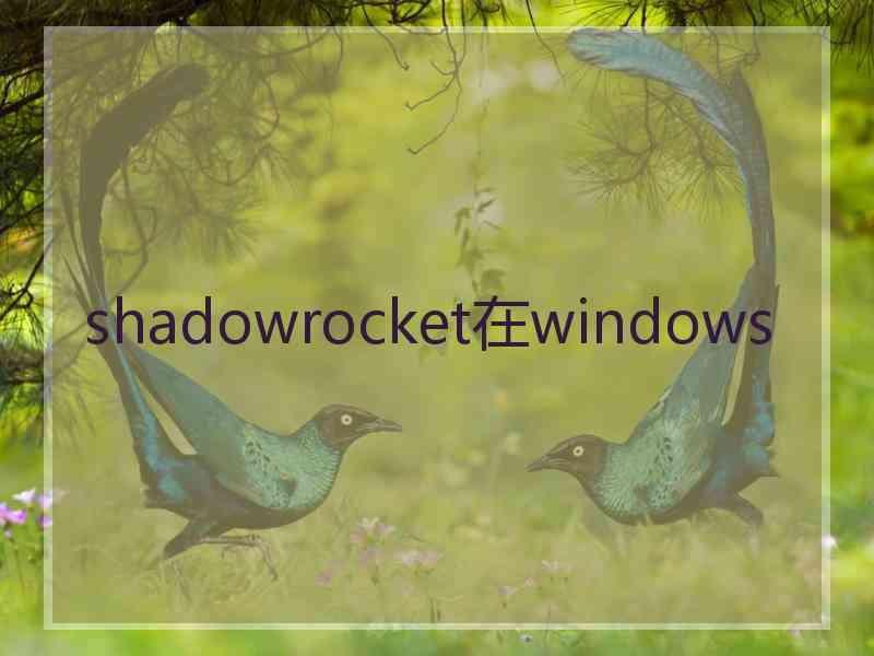 shadowrocket在windows