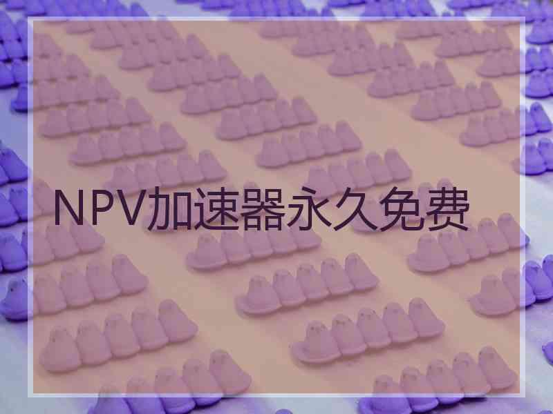 NPV加速器永久免费