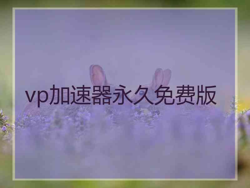 vp加速器永久免费版