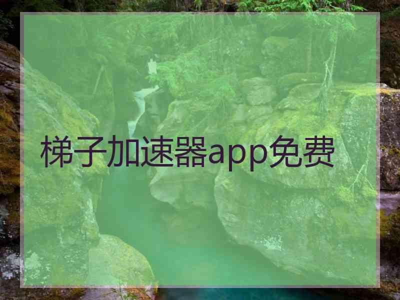 梯子加速器app免费