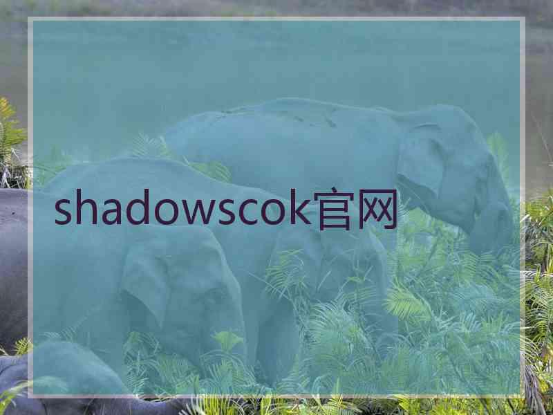 shadowscok官网