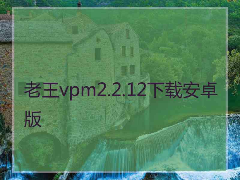 老王vpm2.2.12下载安卓版