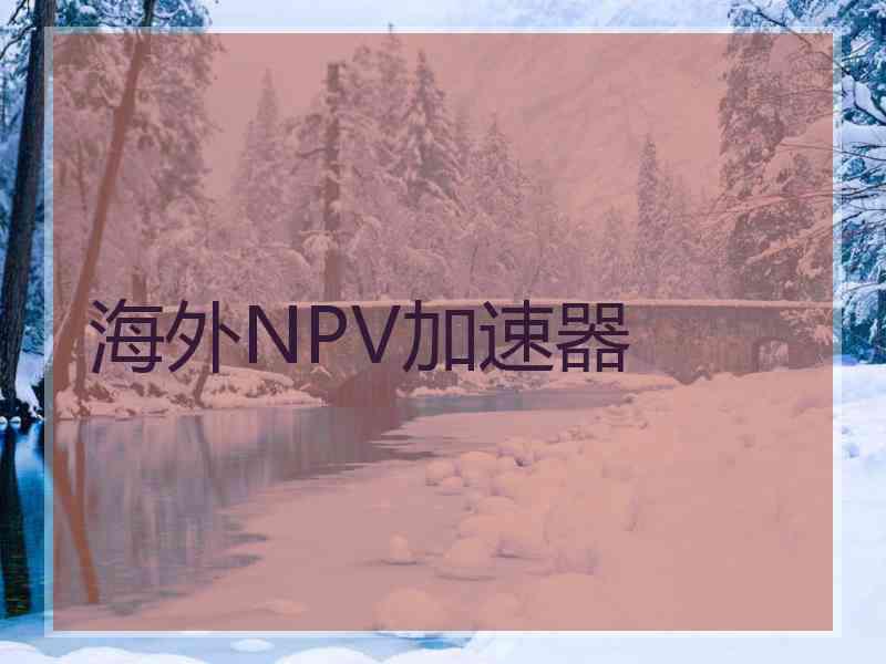 海外NPV加速器