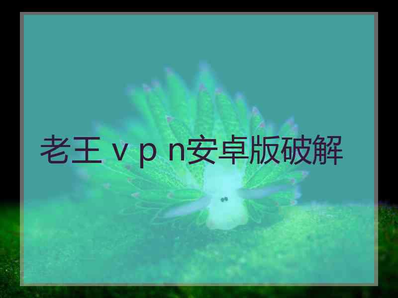 老王 v p n安卓版破解