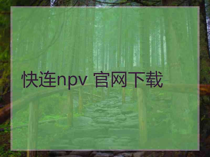 快连npv 官网下载