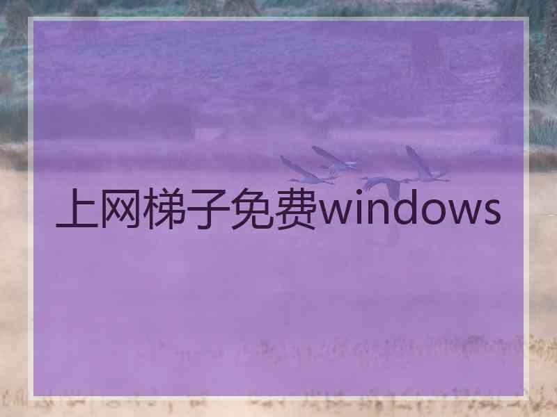 上网梯子免费windows