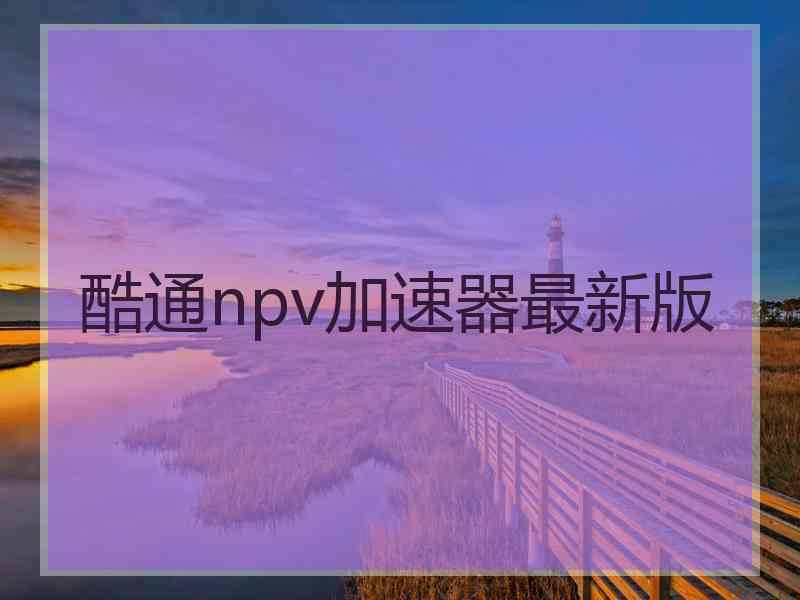 酷通npv加速器最新版