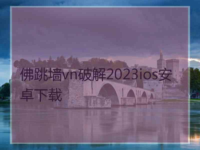 佛跳墙vn破解2023ios安卓下载