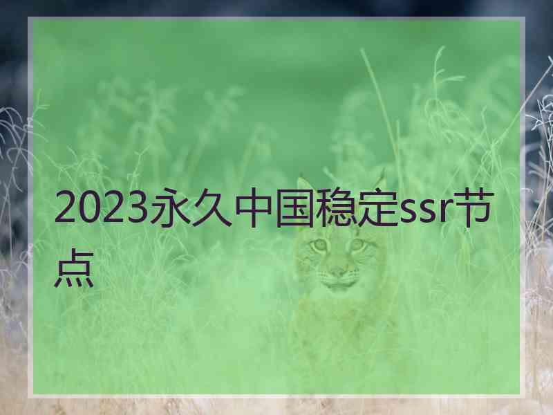 2023永久中国稳定ssr节点