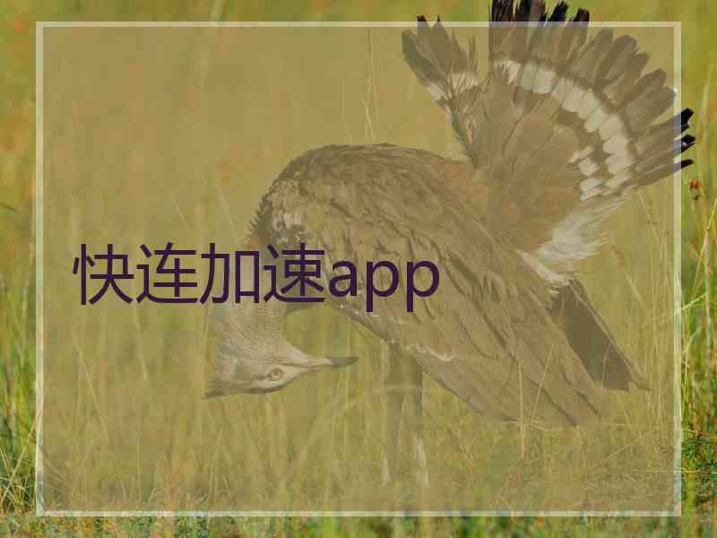 快连加速app