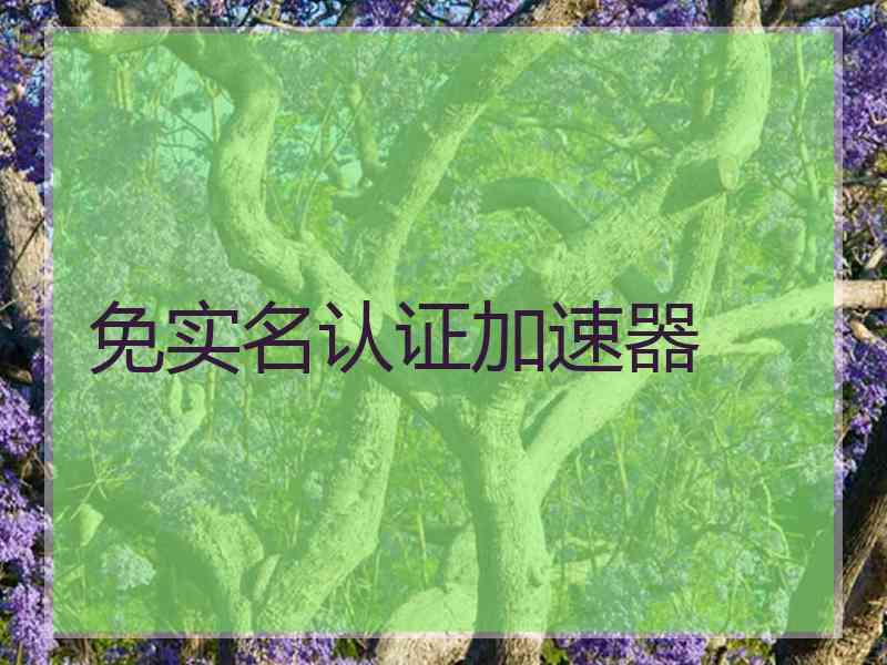 免实名认证加速器