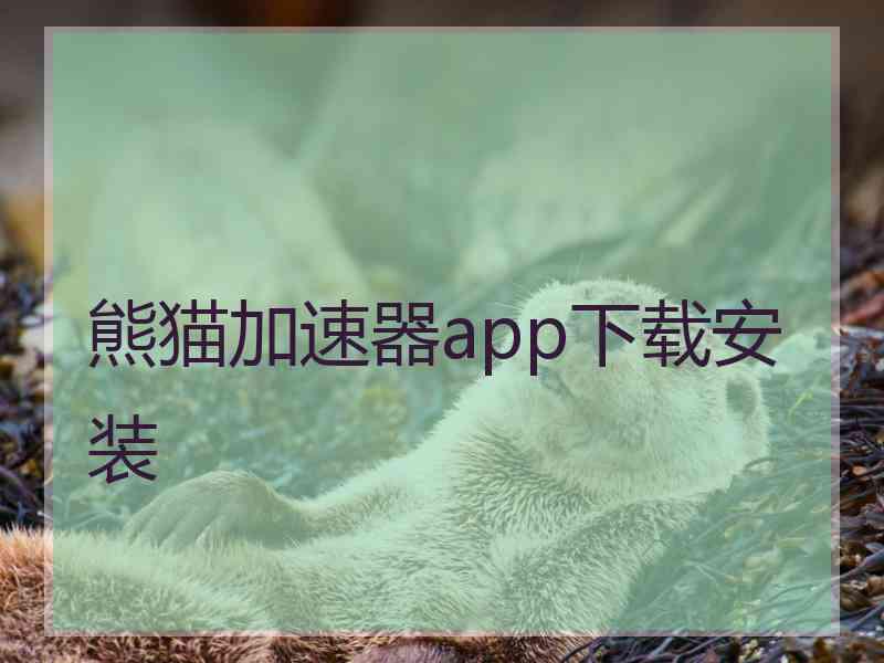 熊猫加速器app下载安装