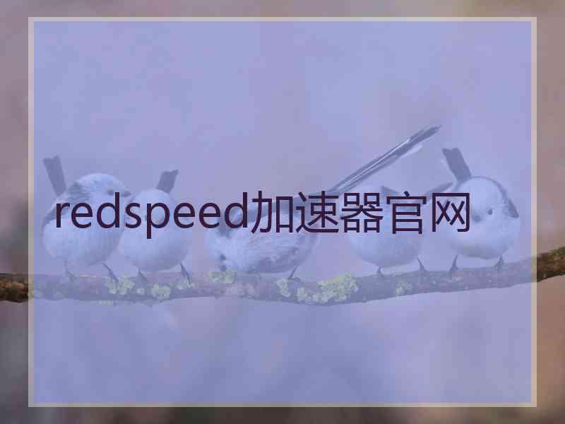 redspeed加速器官网