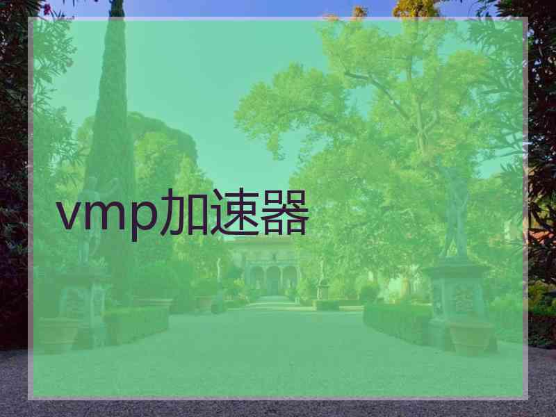 vmp加速器