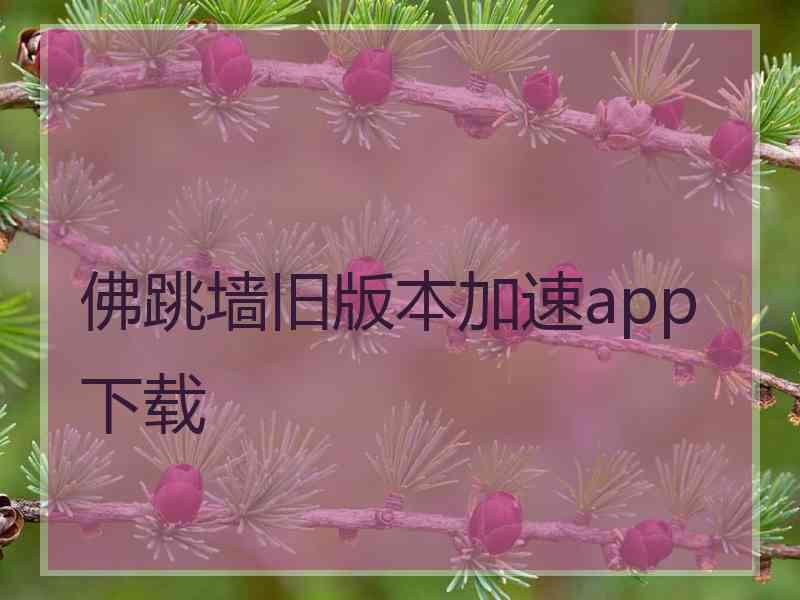 佛跳墙旧版本加速app下载