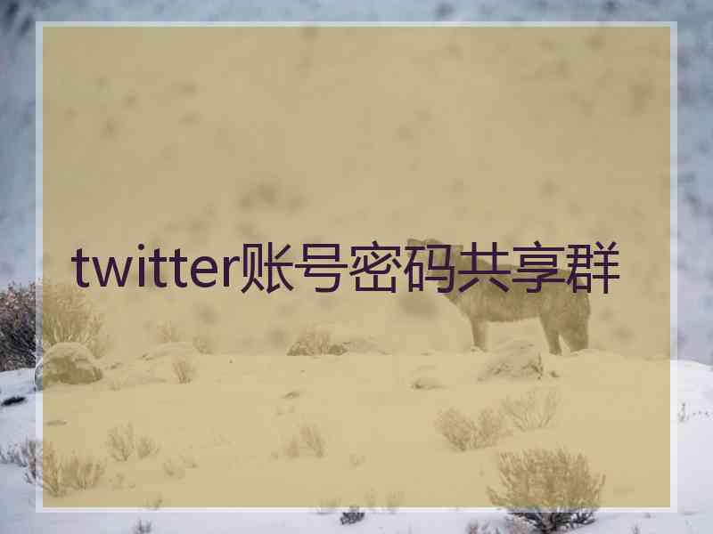 twitter账号密码共享群