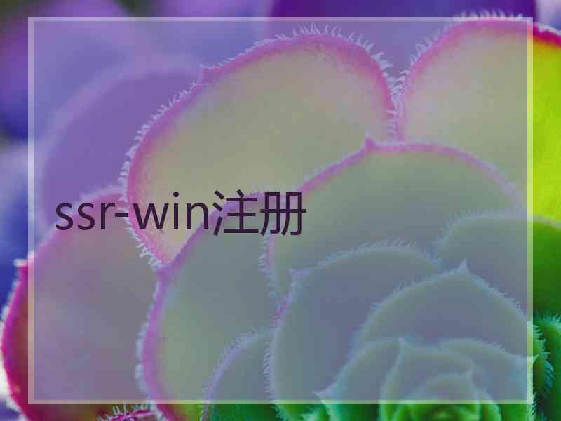 ssr-win注册