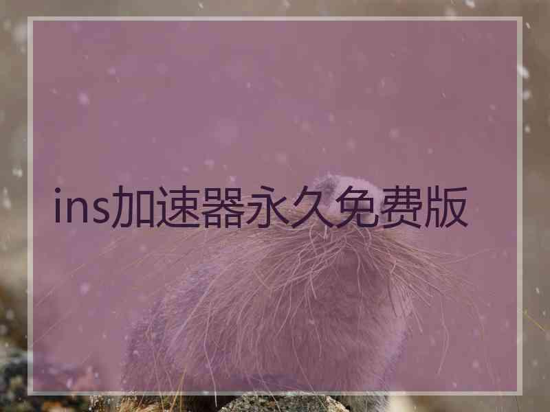 ins加速器永久免费版