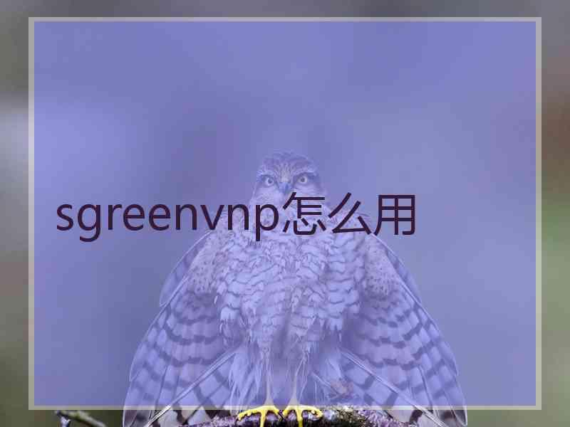 sgreenvnp怎么用