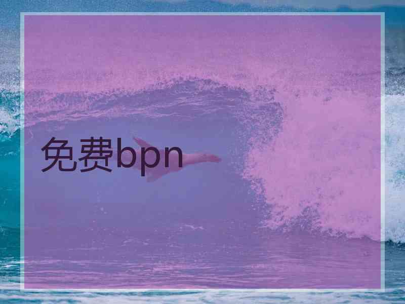 免费bpn