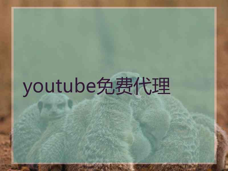 youtube免费代理