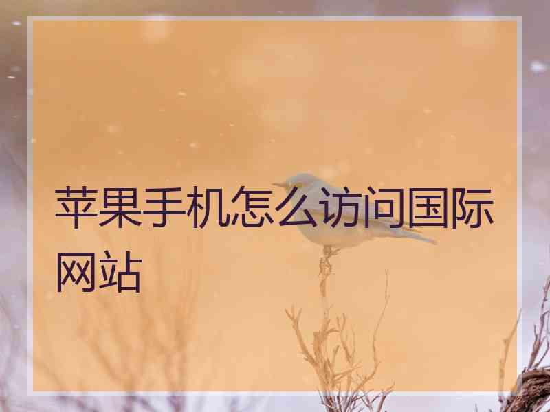 苹果手机怎么访问国际网站